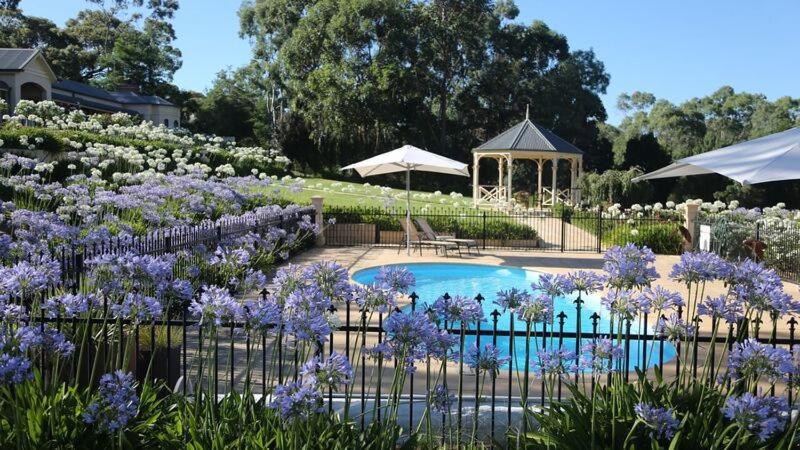 Brice Hill Country Lodge Review