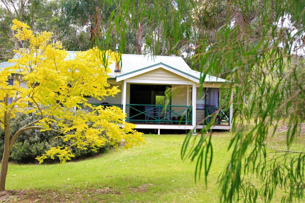 Bushy Lake Chalets Review