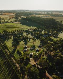 CANVS by CABN Seppeltsfield Barossa - Guest Experience and Highlights
