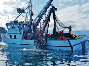 Carriage House Accommodations - Accommodation Options