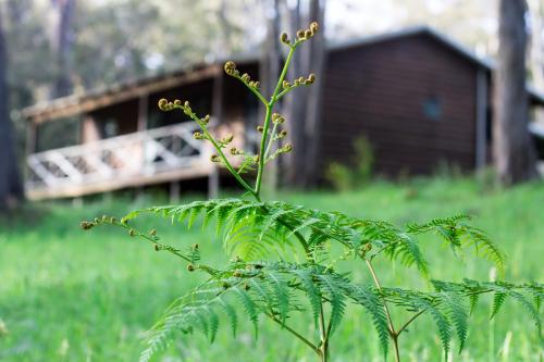 Che Sara Sara Chalets - Accommodation Highlights