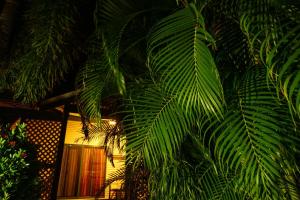 Cocos Beach Bungalows - Bungalow Accommodations
