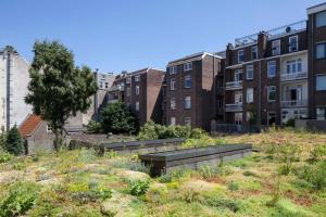 Conscious Hotel Vondelpark - Guest Experience