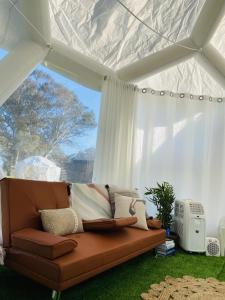 Coonawarra Hampton Bubble 3 - Unique Glamping Experience