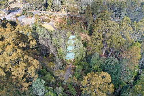 Cradle Forest Inn - Accommodation Overview