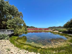 Daysy Hill Country Cottages - Accommodation Options