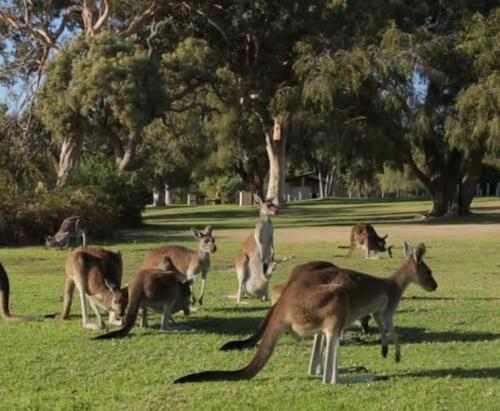 Eastern Hill Creswick - Accommodation and Amenities