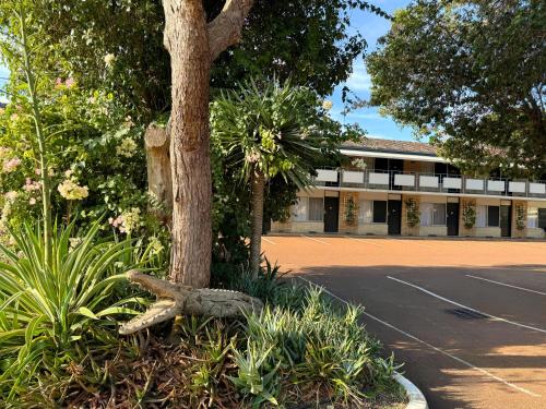 Flag Motor Lodge - Room Types and Amenities