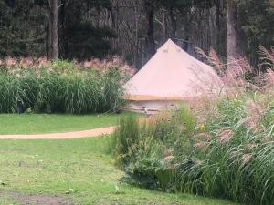 Garden Beds Glamping - Stunning Garden and Landscape