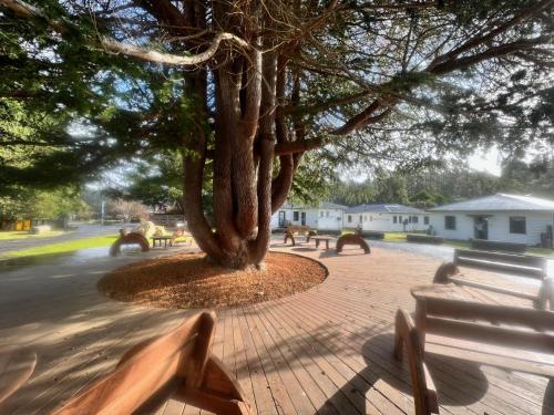 Giants Table and Cottages - Guest Reviews