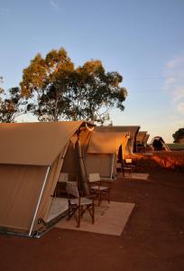 Glamping at Buckland Estate - Accommodation Offerings