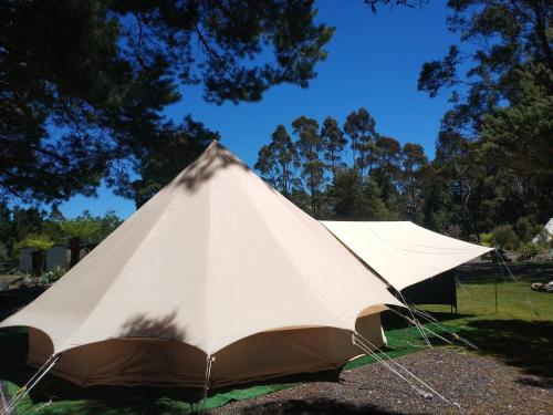 Glamping at Zeehan Bush Camp - Guest Ratings and Testimonials