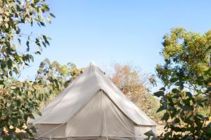 Goldfield Glamping - Accommodation Options