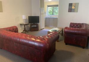 Grosvenor Court Apartments - Accommodation Options