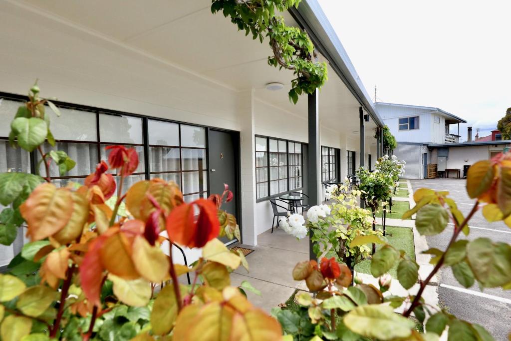 Guichen Bay Motel - Room Types and Features