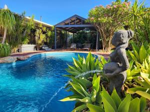 Haven Studio Hideaway Near Airport - Accommodation Details