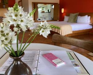 Hilltop Studios - Accommodation Features