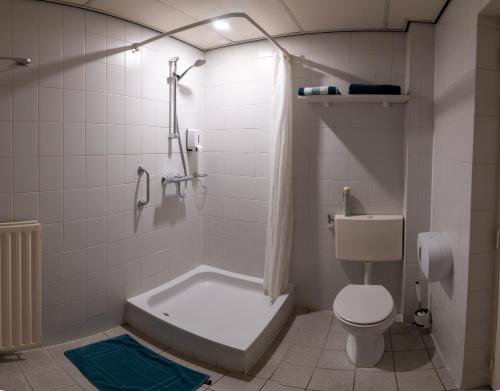 Hotel De Zwaan - Accommodation Details