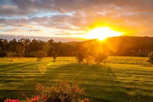 Karri Aura - Accommodation Details