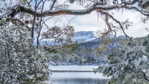 Lake St Clair Lodge - Exploring the Natural Setting