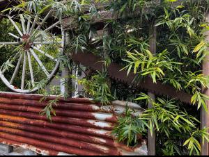 Mudstone Suites - Accommodation Details