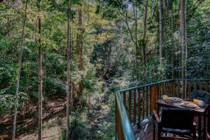 Narrows Escape Rainforest Retreat - Accommodation and Amenities