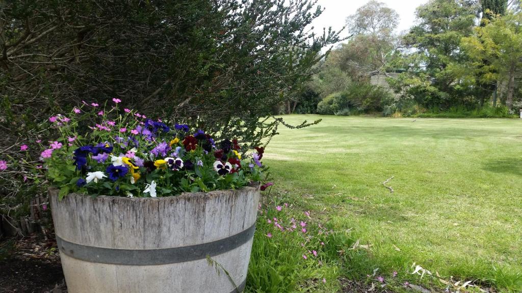Padthaway Caravan Park Review