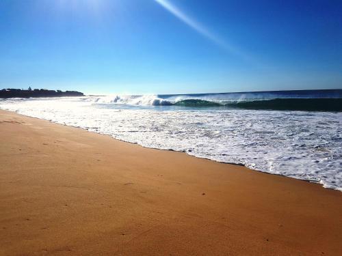 Paradise by the Bay - Guest Ratings and Reviews