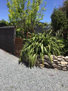 Pollys Retreat - Guest Experience and Amenities
