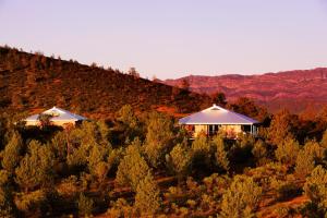 Rawnsley Park Station - Accommodation Offerings