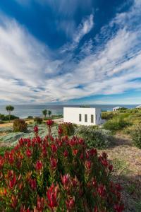 Saltwater - Absolute Oceanfront, Hot Tubs, Sauna, Fire Pits - Accommodation Offerings