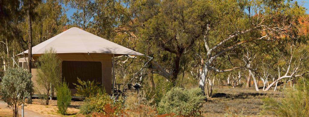 Squeakywindmill Boutique Tent B&B - Stunning Mountain Views