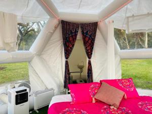 Taj Mahal Upgraded Hex Bubble - Mandala-Themed Interior Design