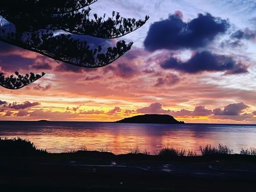 The Bluff Resort Apartments - Guest Reviews and Ratings