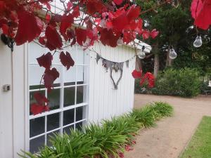 The Cottage - Guest Reviews and Ratings