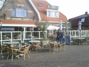The Golden Carp - Exploring the Guest Experience