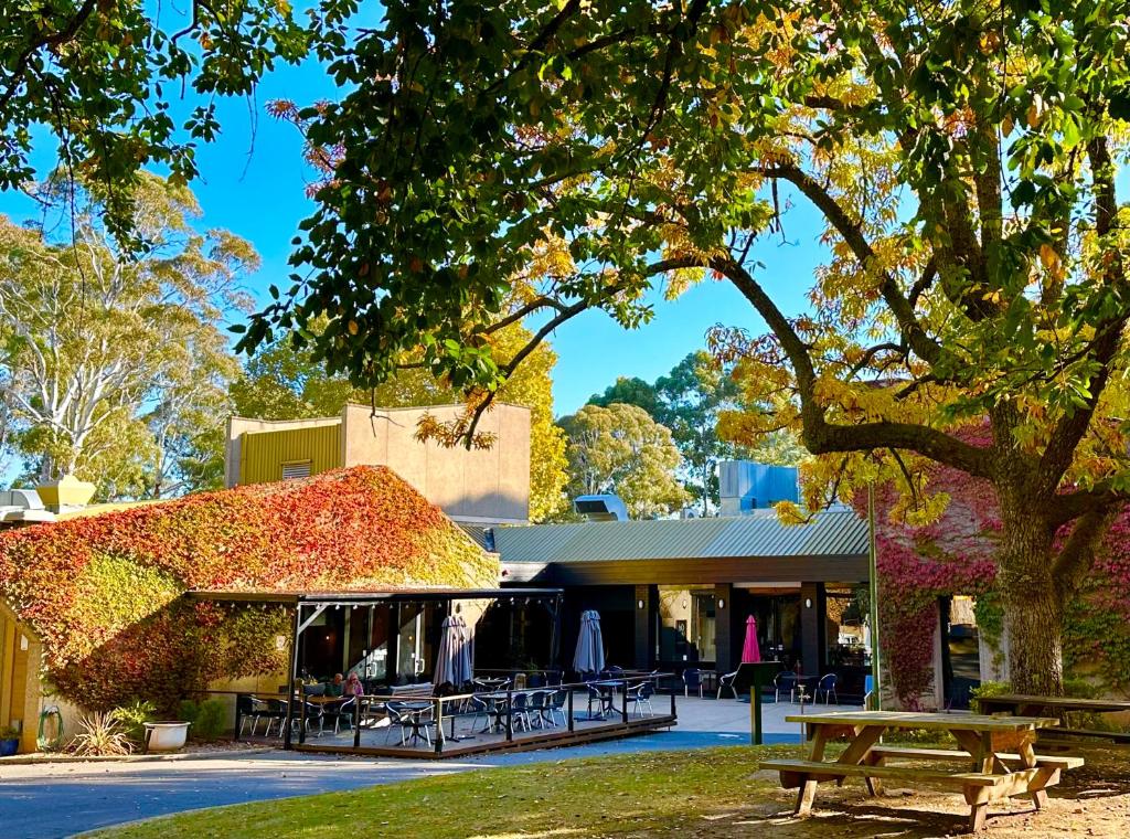 The Grand Oaks Review