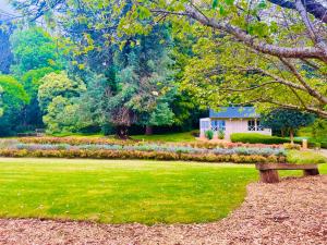 The Mountain View Cottage - Guest Experiences