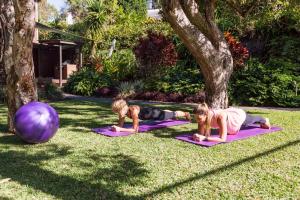 The Oasis Apartments and Treetop Houses - Accommodation Highlights