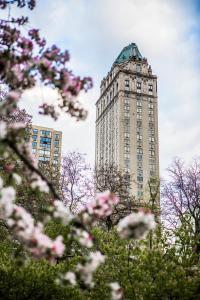 The Pierre, A Taj Hotel, New York - Exceptional Location and Accessibility