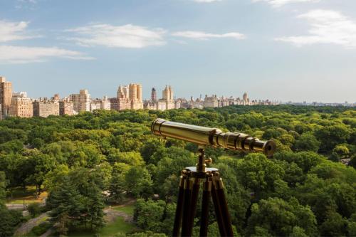 The Ritz-Carlton New York, Central Park - Luxury Accommodations