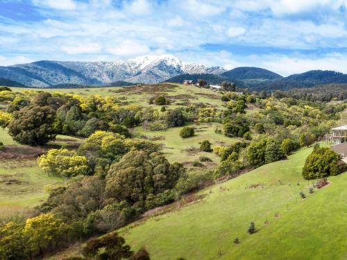 The Sebel Pinnacle Valley - Accommodation Offerings