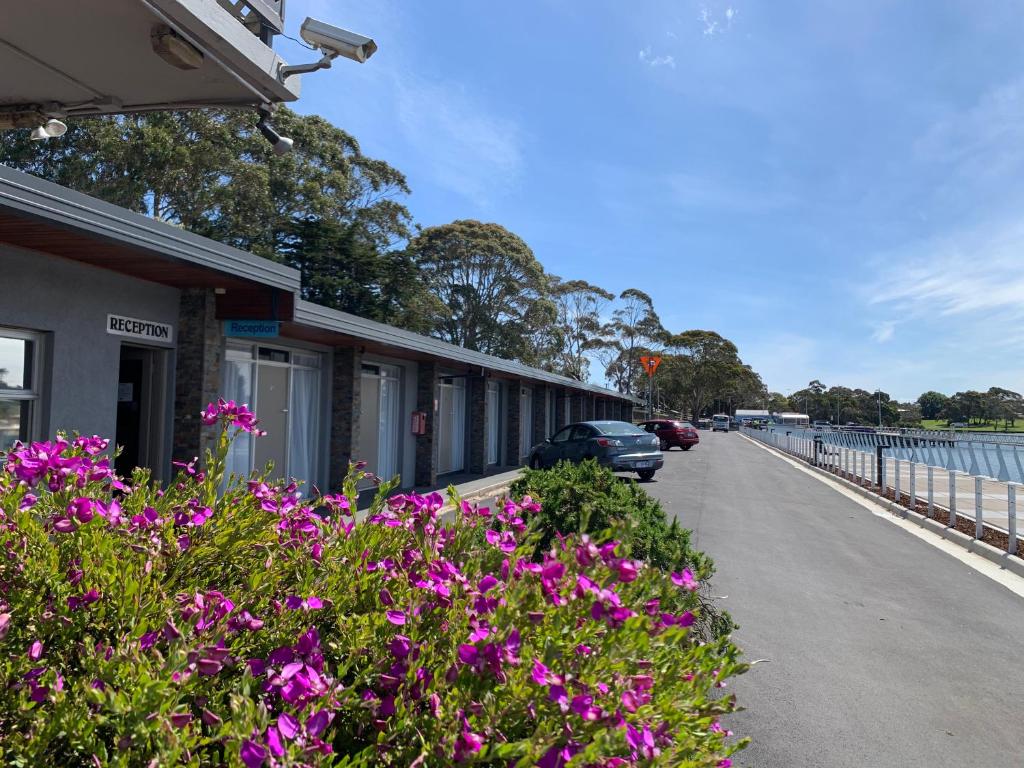 The Waterfront Wynyard Review