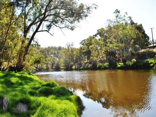 Tweed Valley Lodge - Accommodation Overview