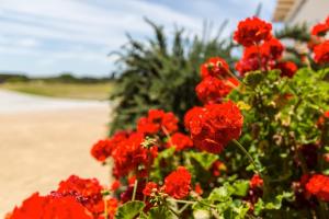 Wytonia Beachfront Accommodation - Guest Reviews