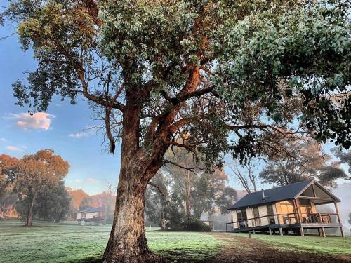 Yering Gorge Cottages - Accommodation Highlights