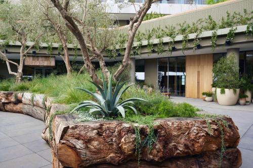 1 Hotel West Hollywood - Amenities and Facilities