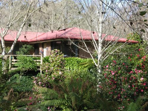 Adelaide Hills B&B Accommodation - Guest Reviews and Experiences