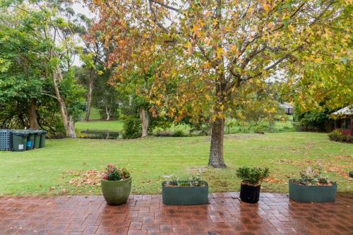 Albany Harbourside Apartments And Houses - Guest Experience and Amenities