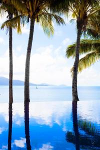 Beach Club - Dining Experiences